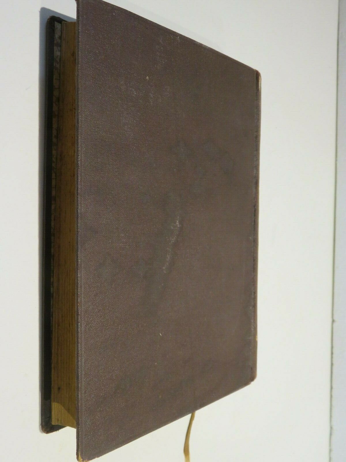 24060080
