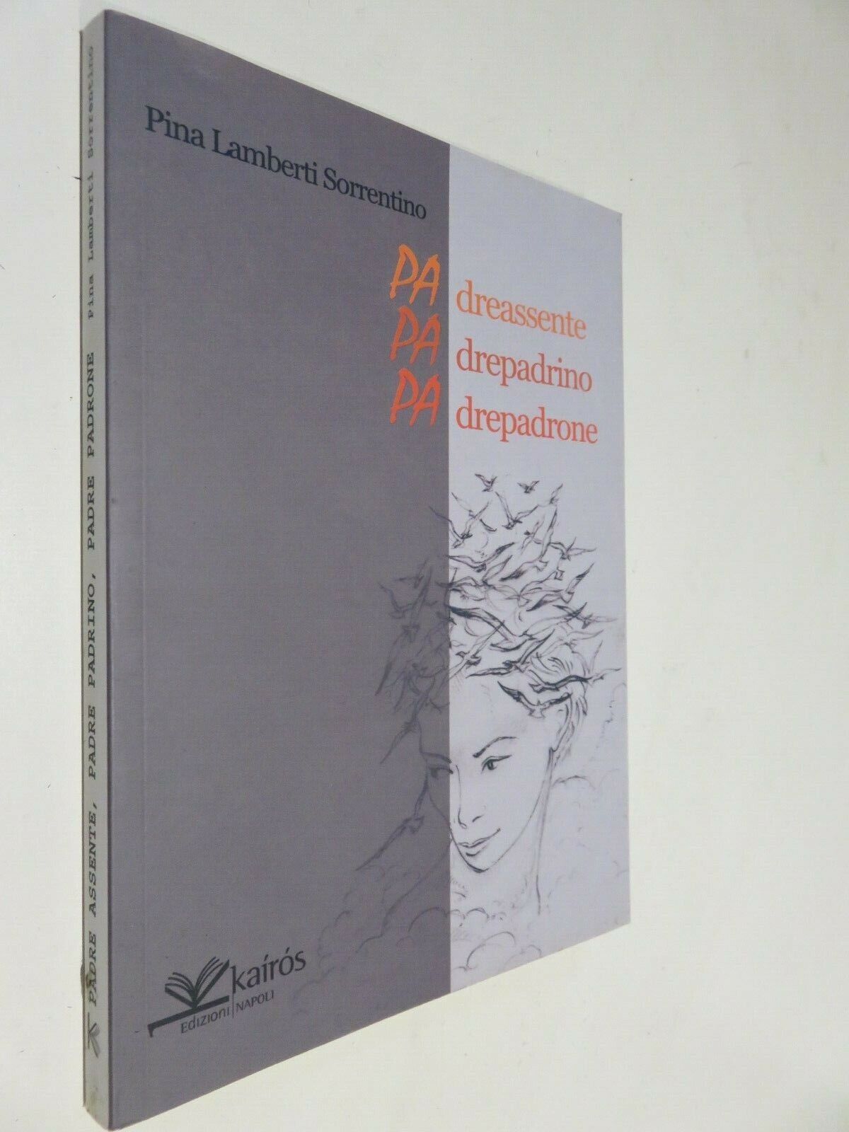 24069862