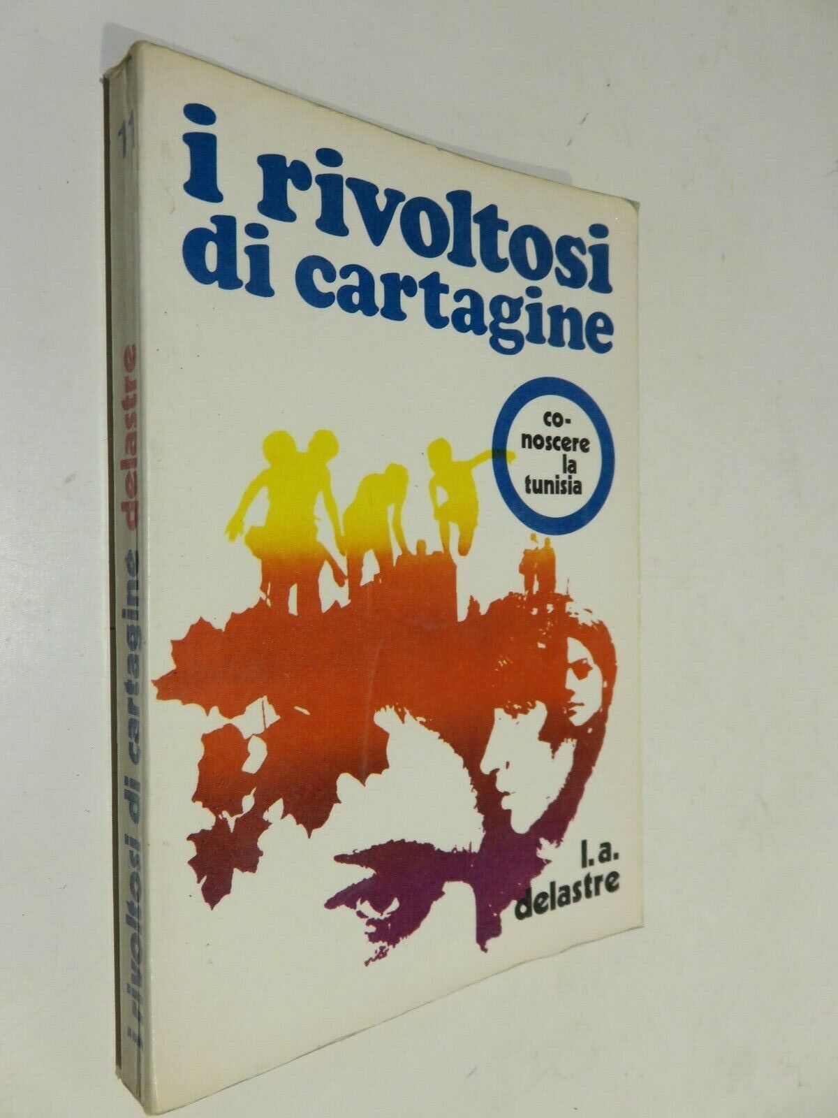 24044767