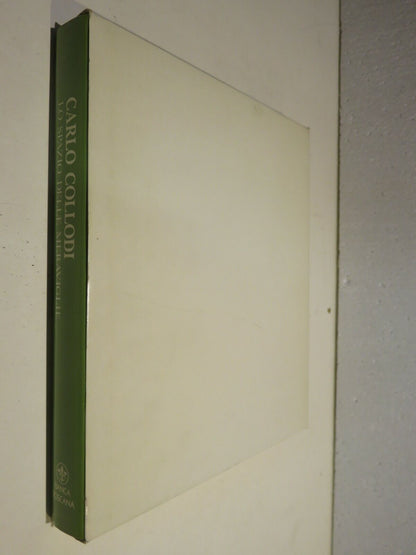 24075432