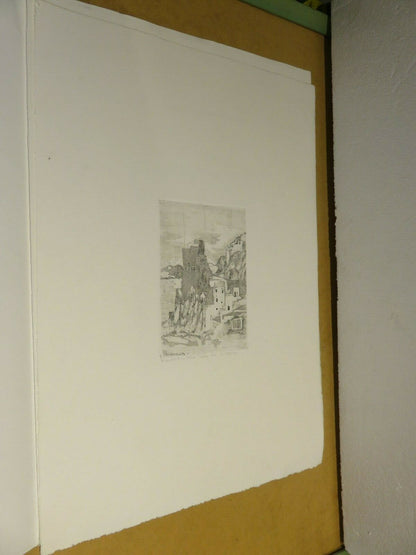 24063732