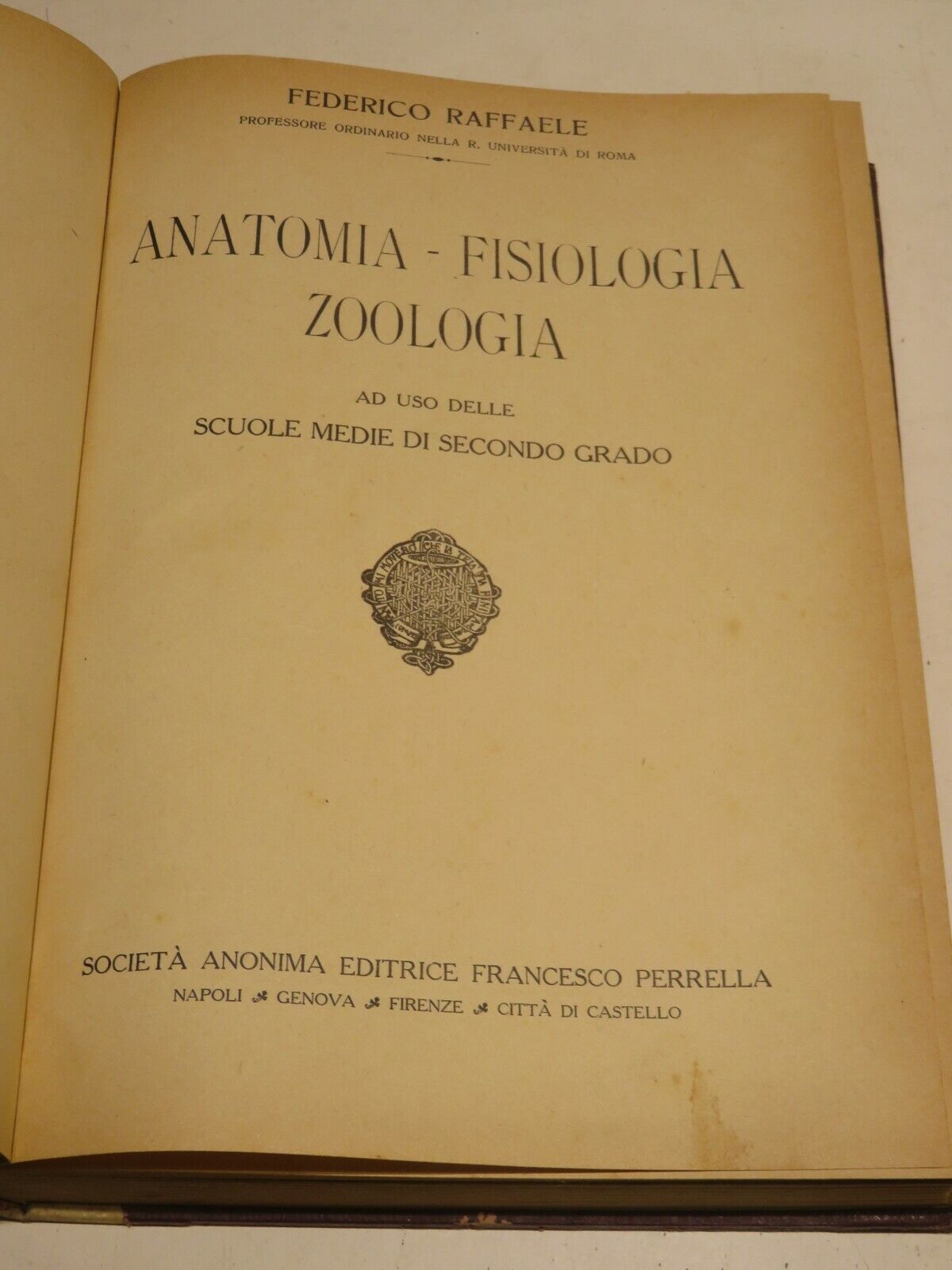 23998420