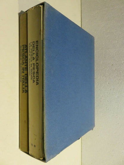 24000653
