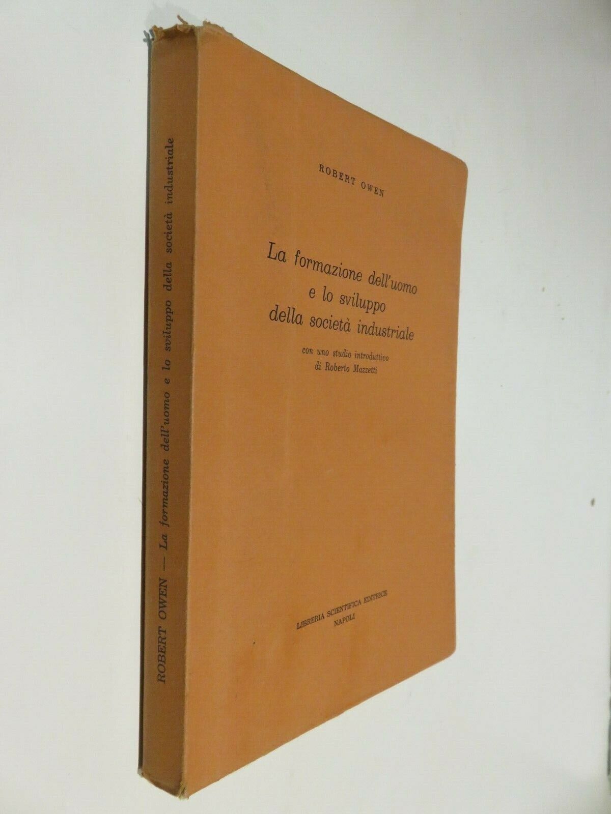 23996806