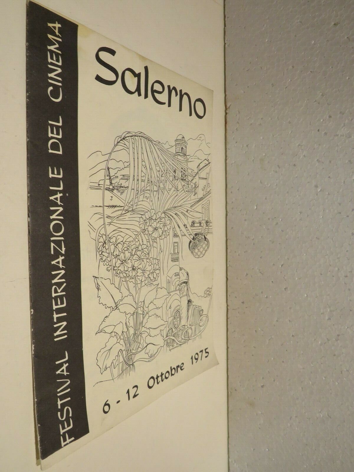 24006432