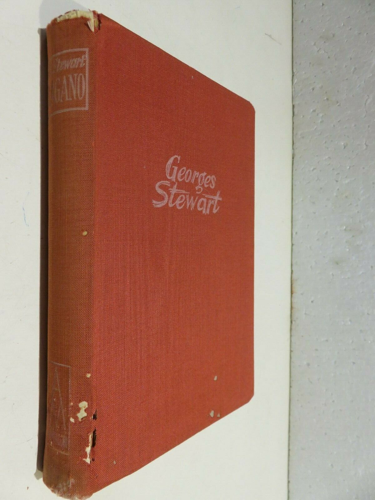 24039653
