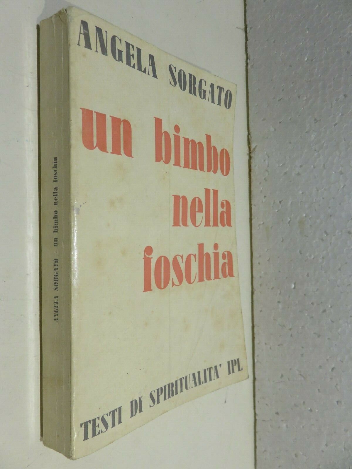 24048381