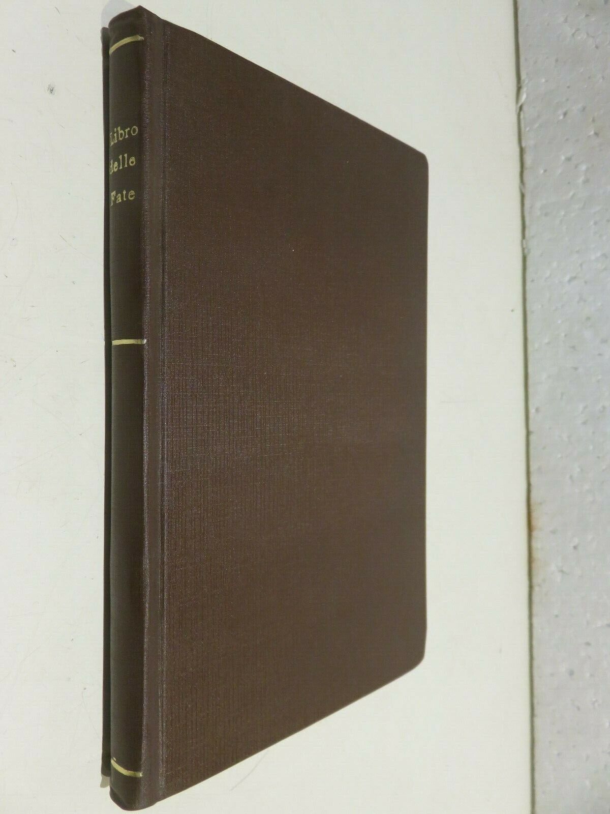 23996256