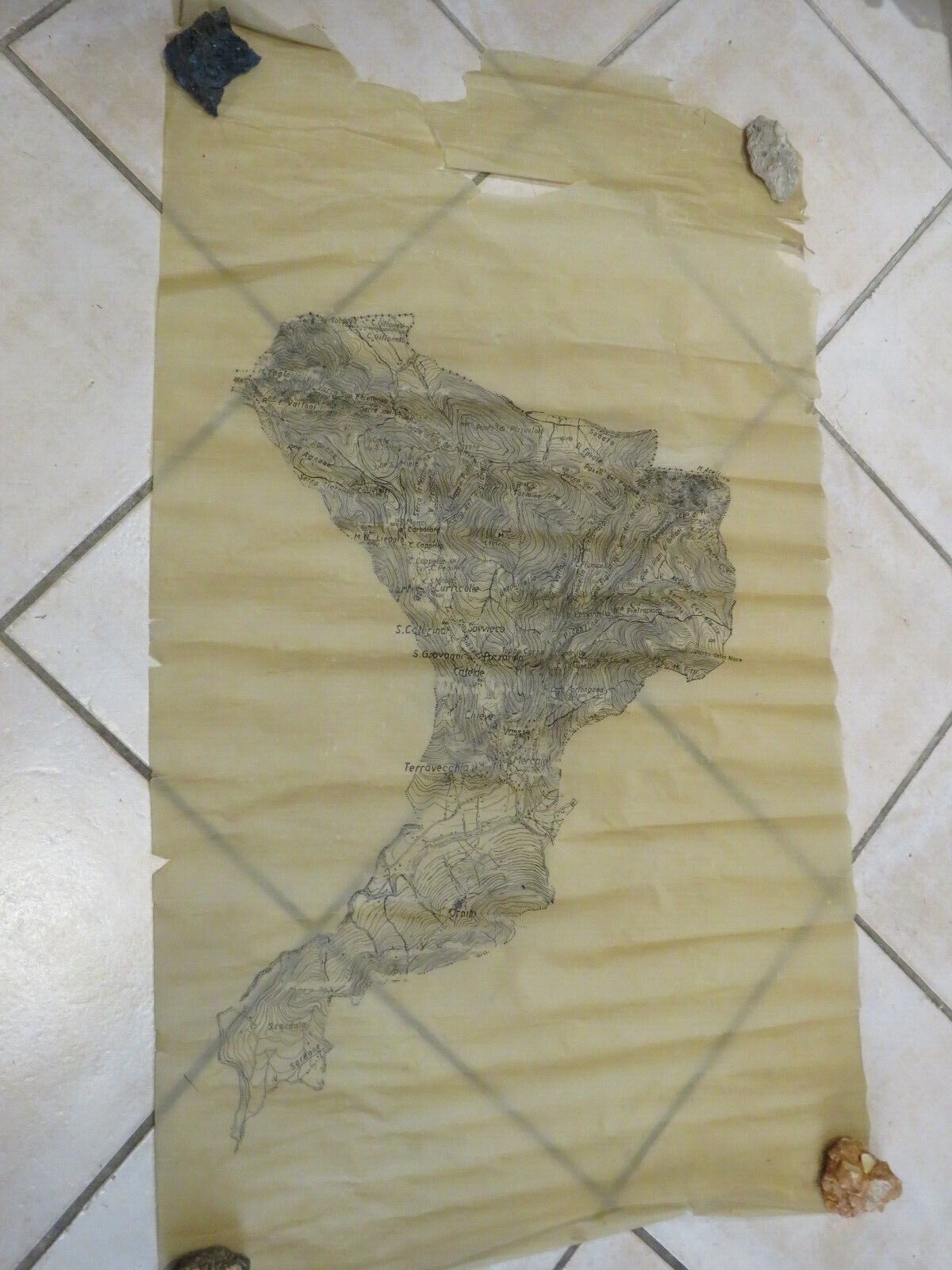 24000952