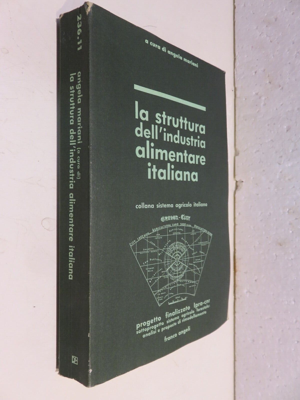 24009691