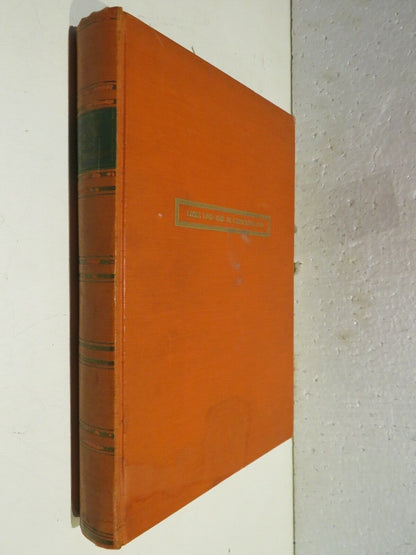 23955303