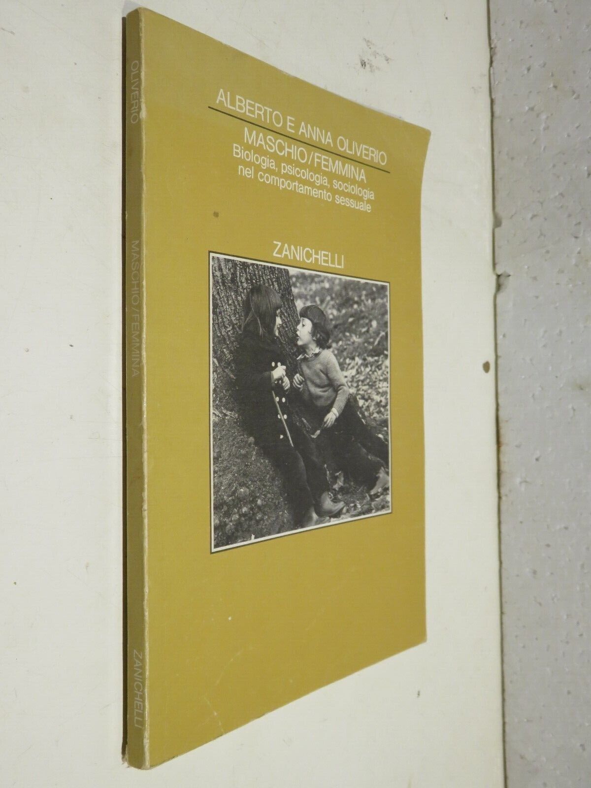 23967166