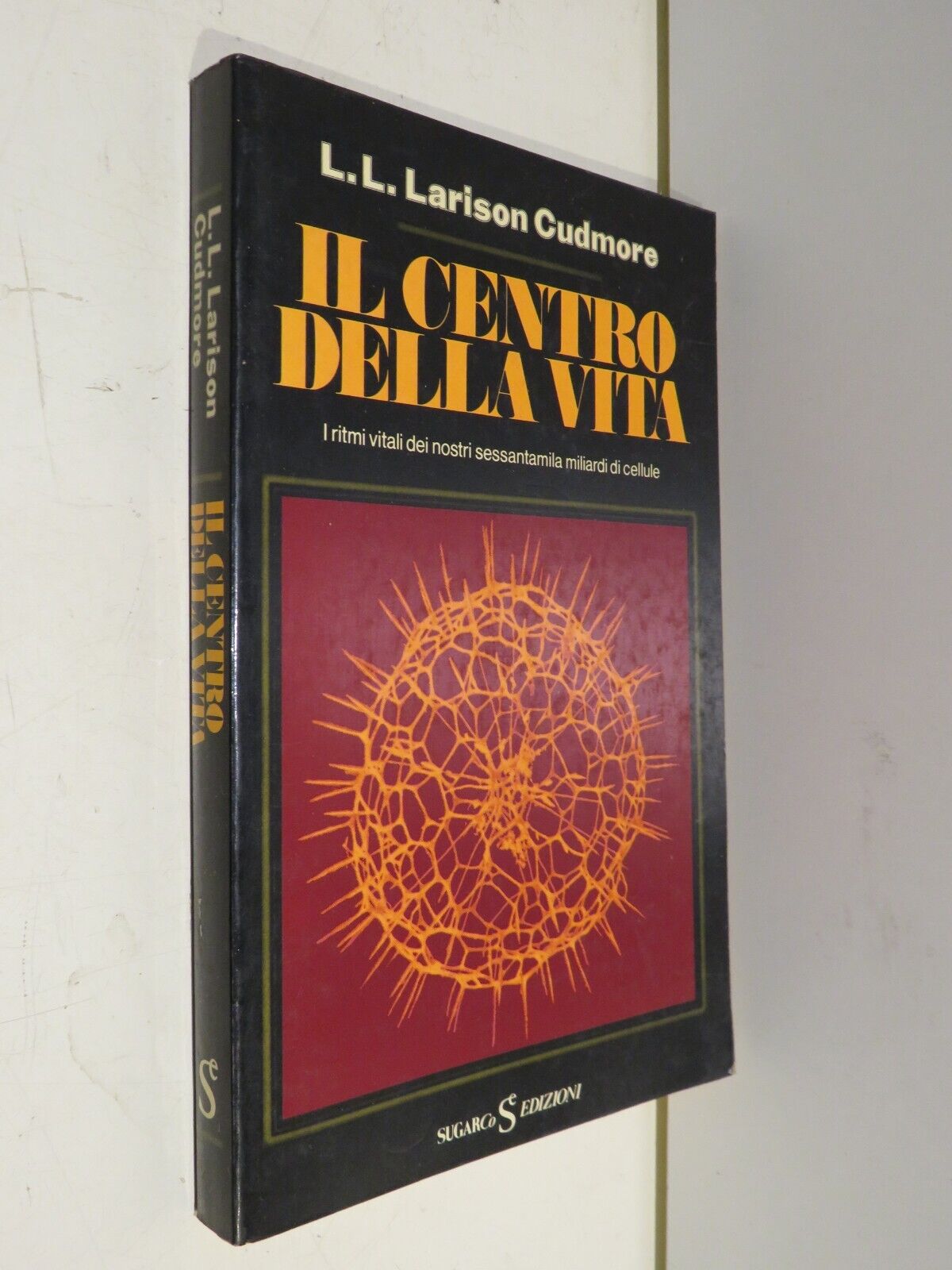 23988245