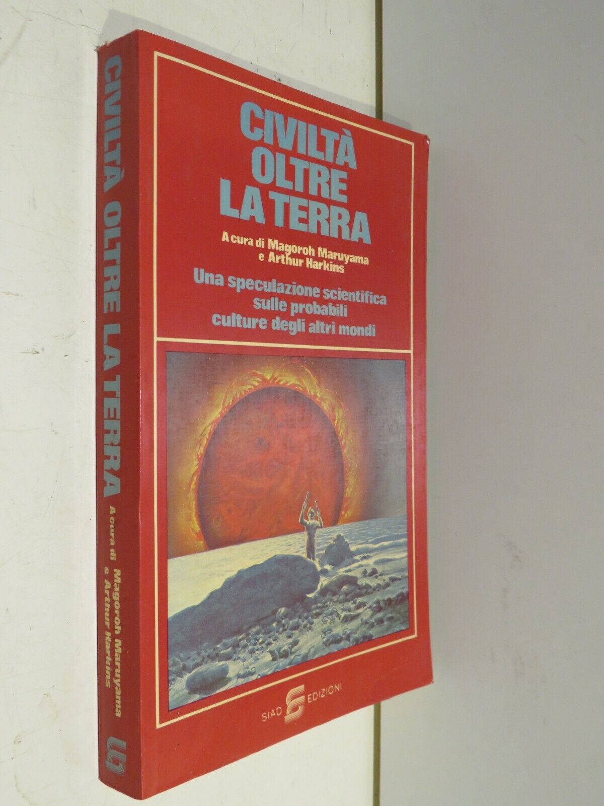 23988752