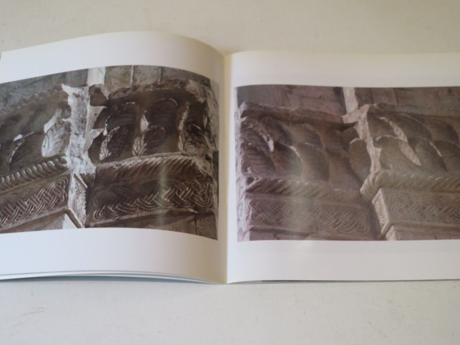 23951418