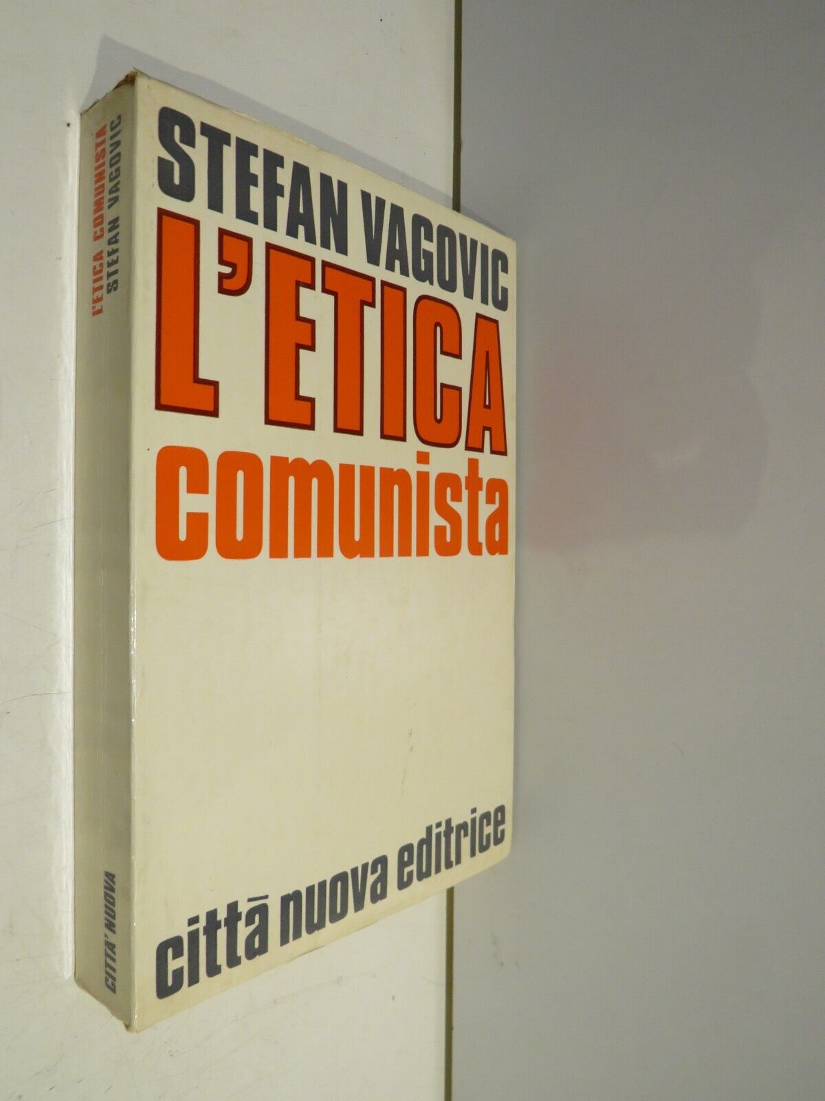 23955570