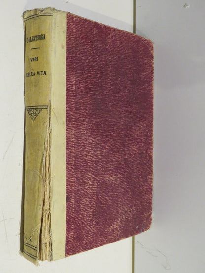 23961460