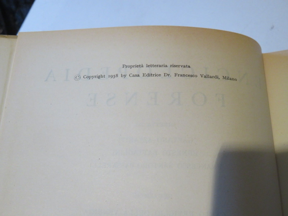 23952646