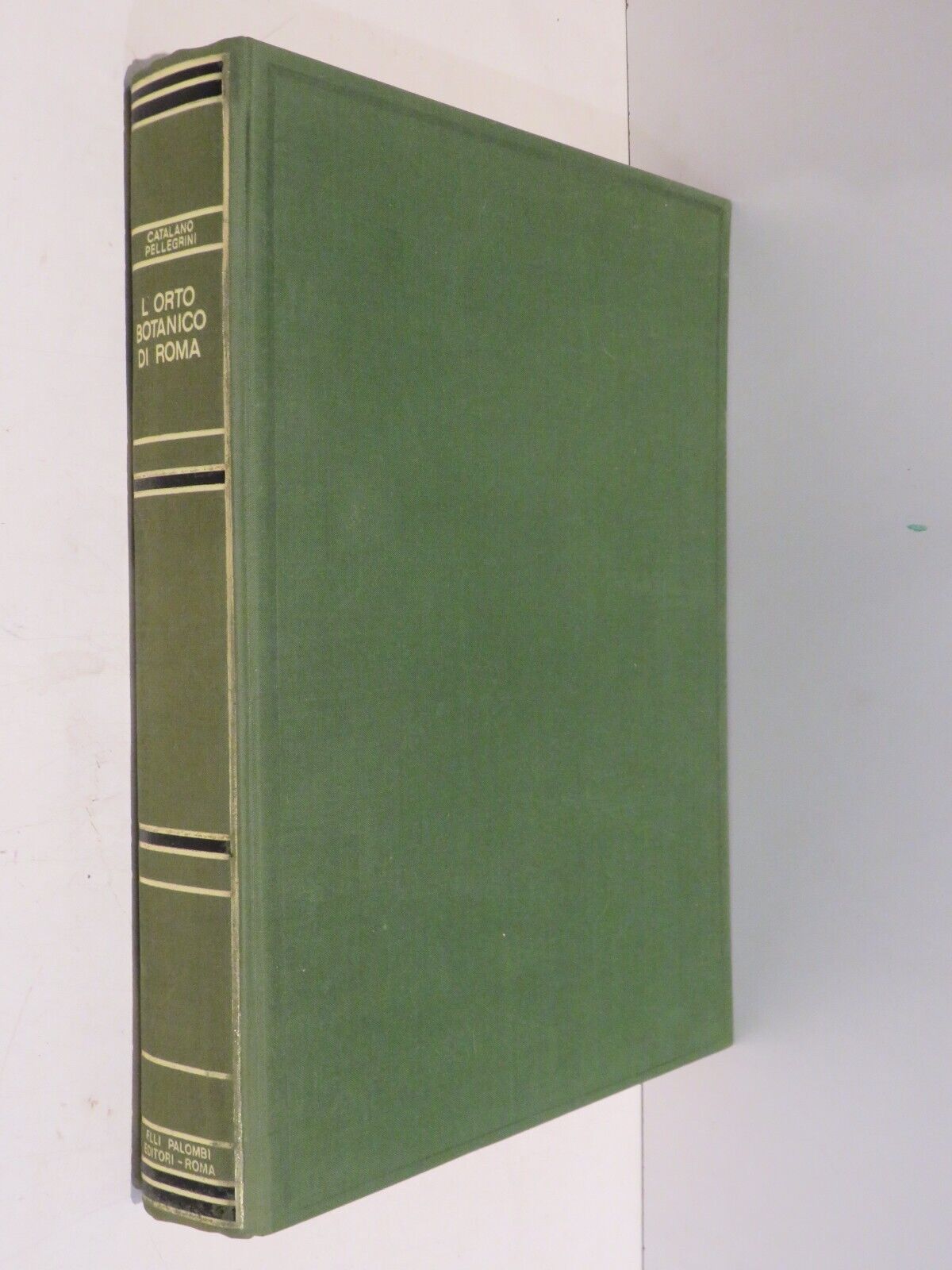 23994052
