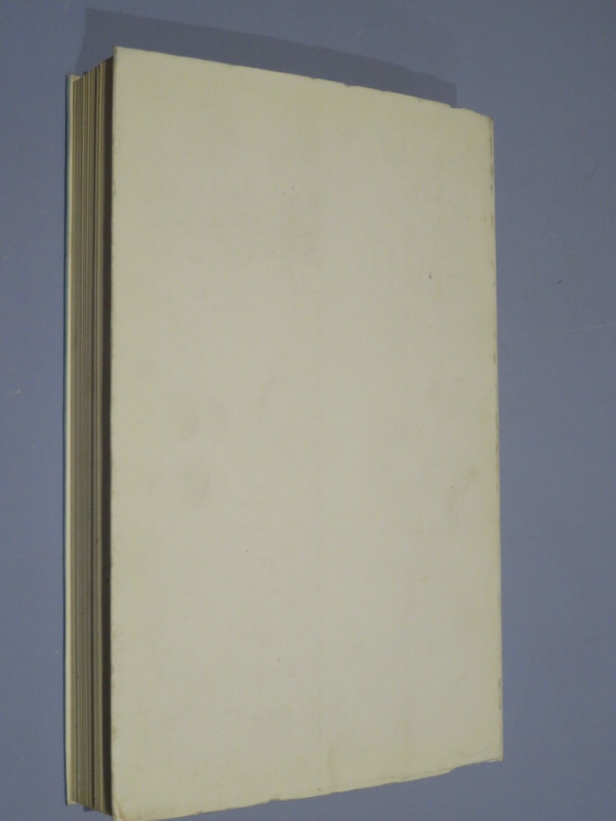 23953126