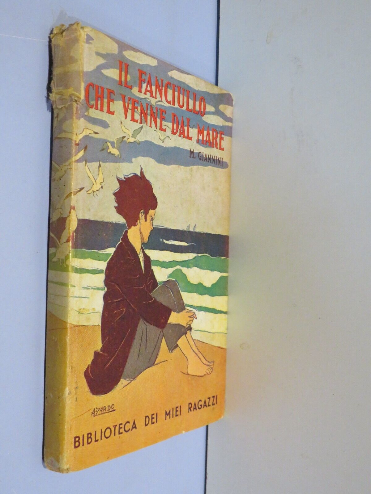23955978