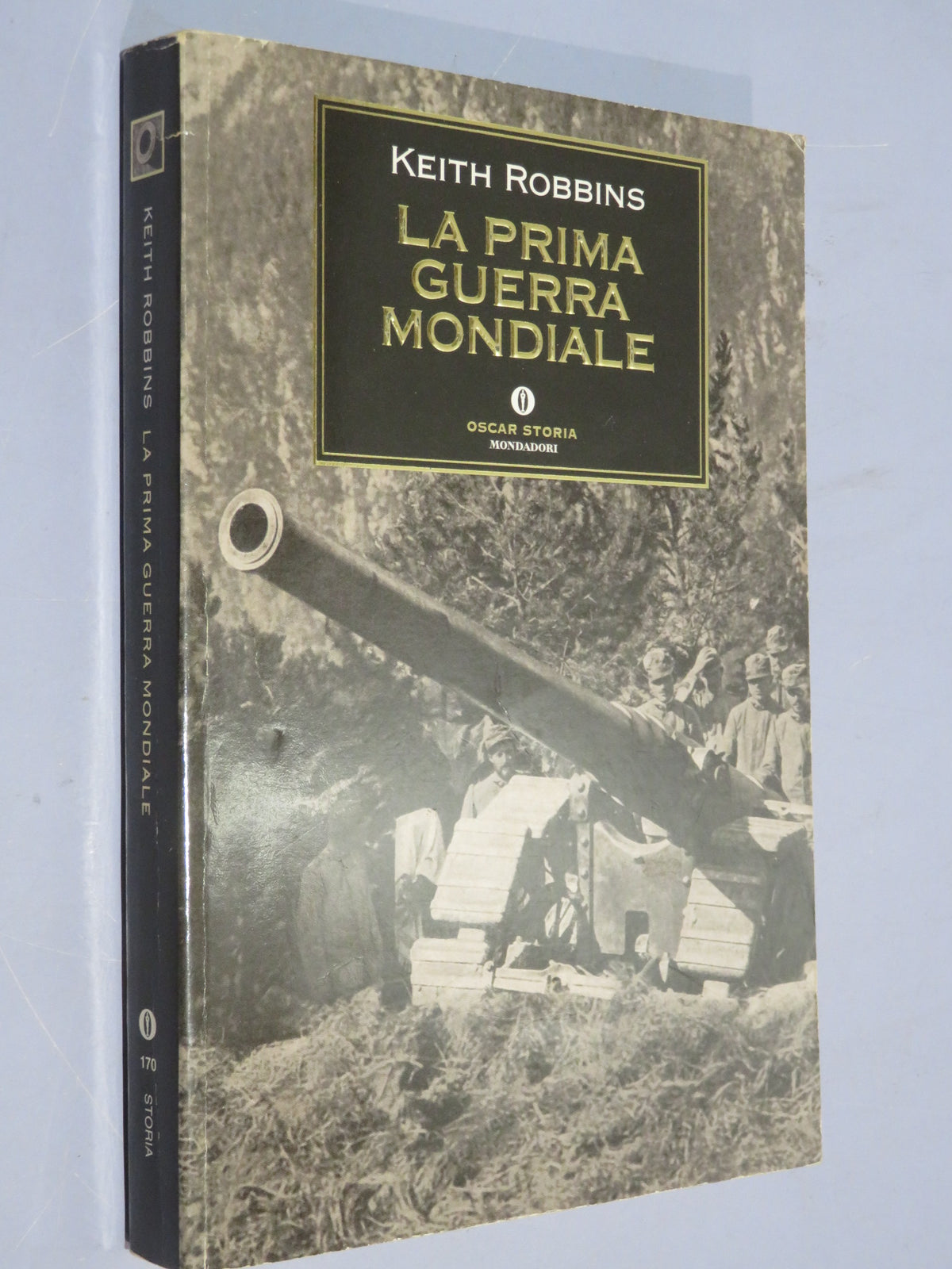 33556231