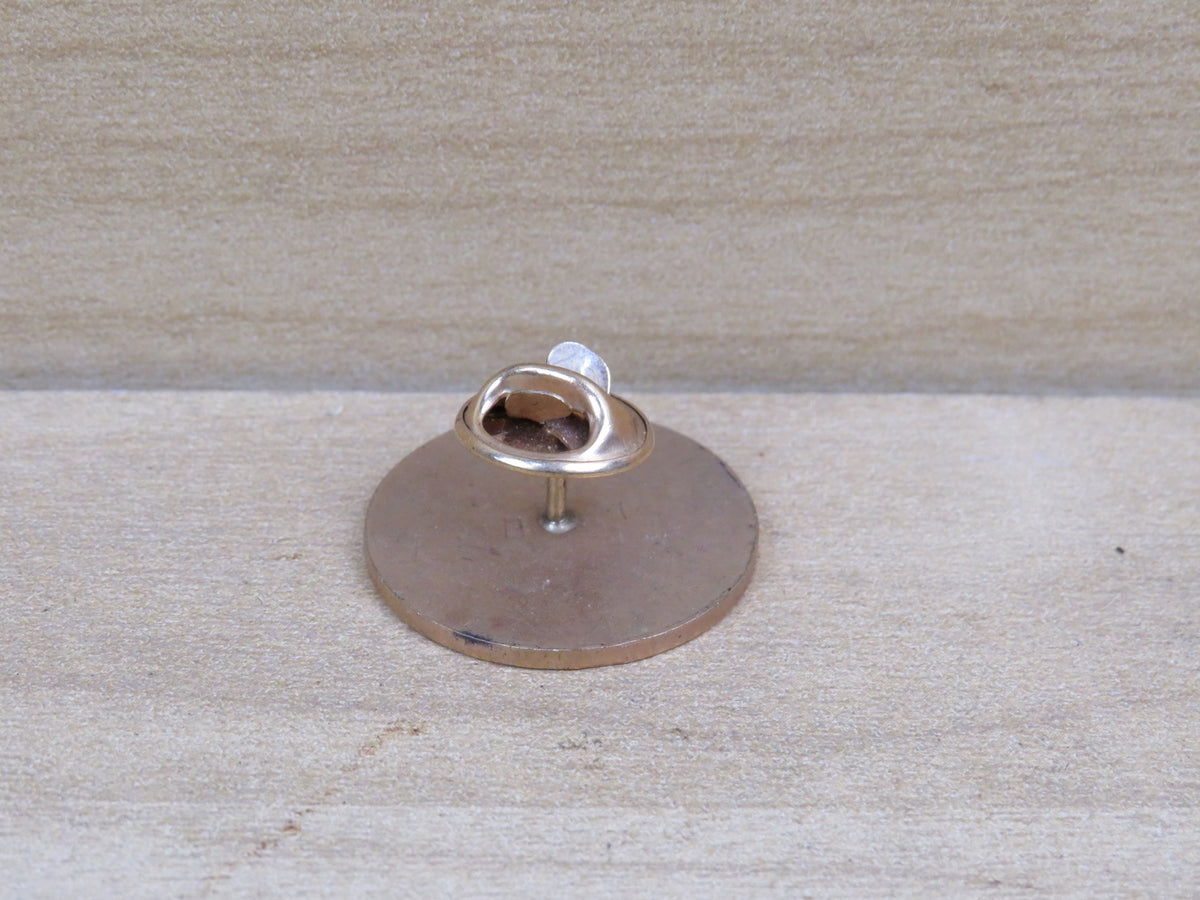 33949737
