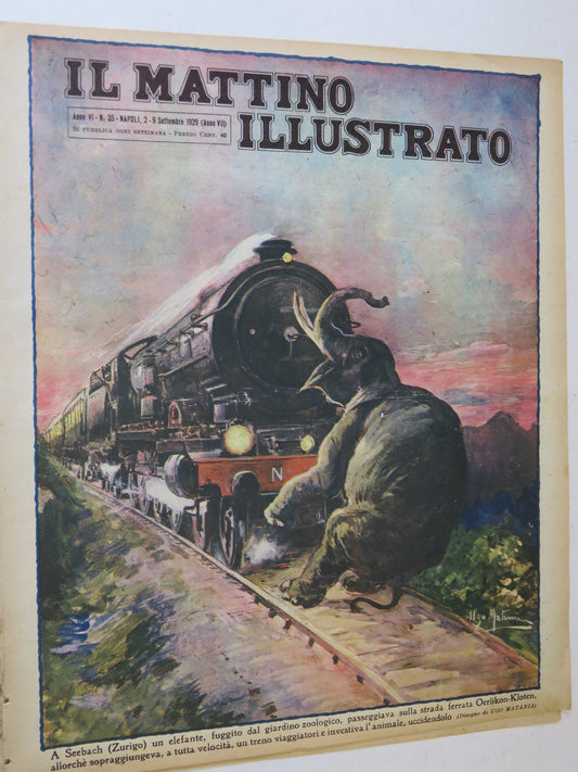 41231531