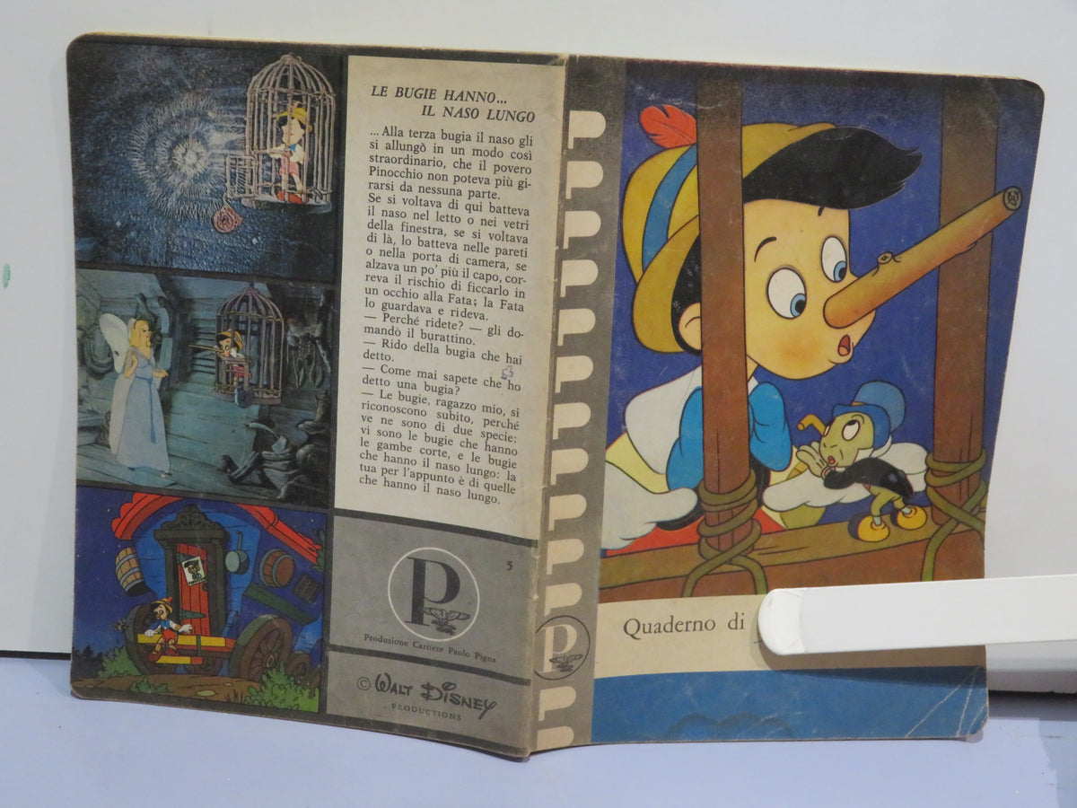 45863057