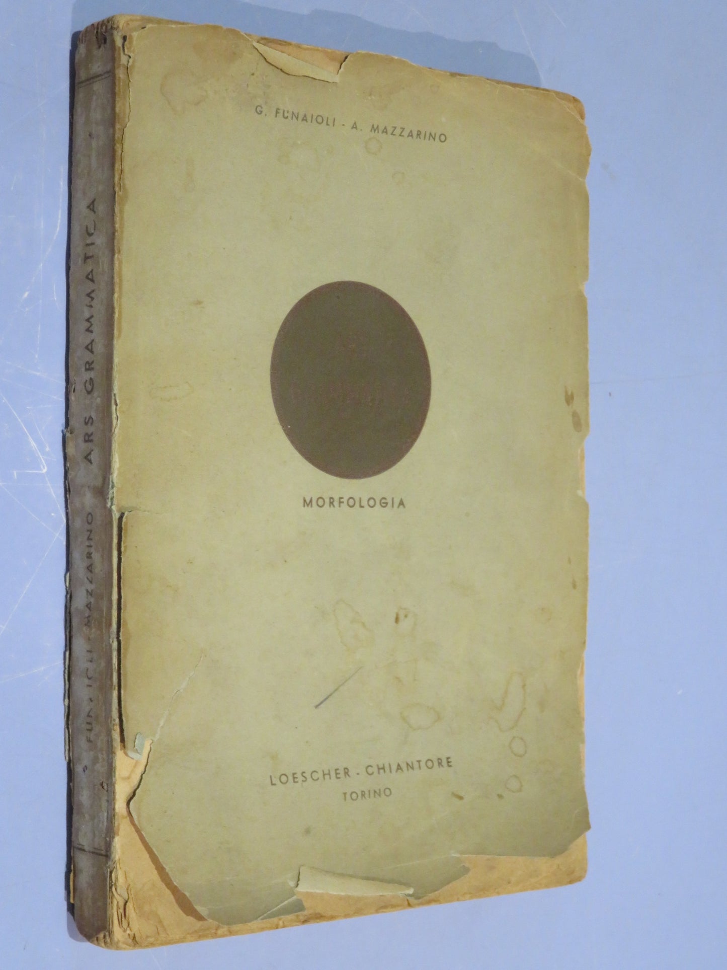 46021921