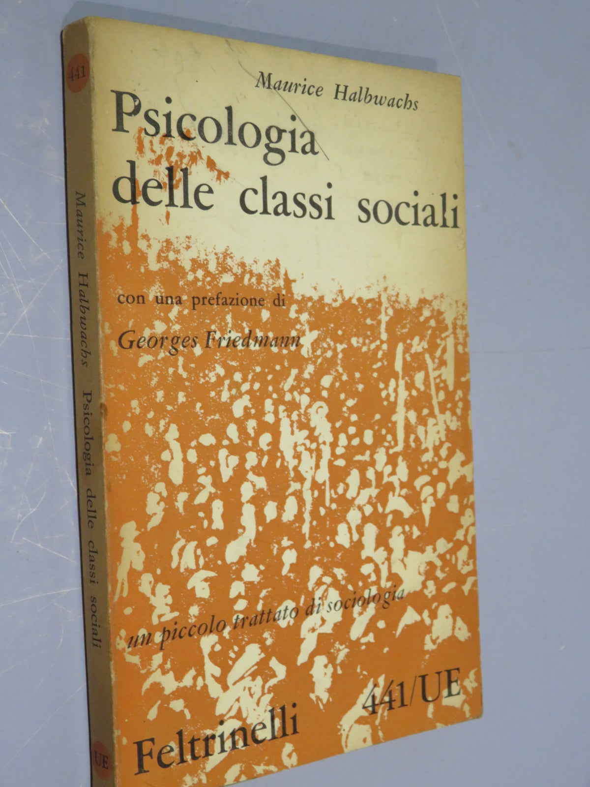 46022428