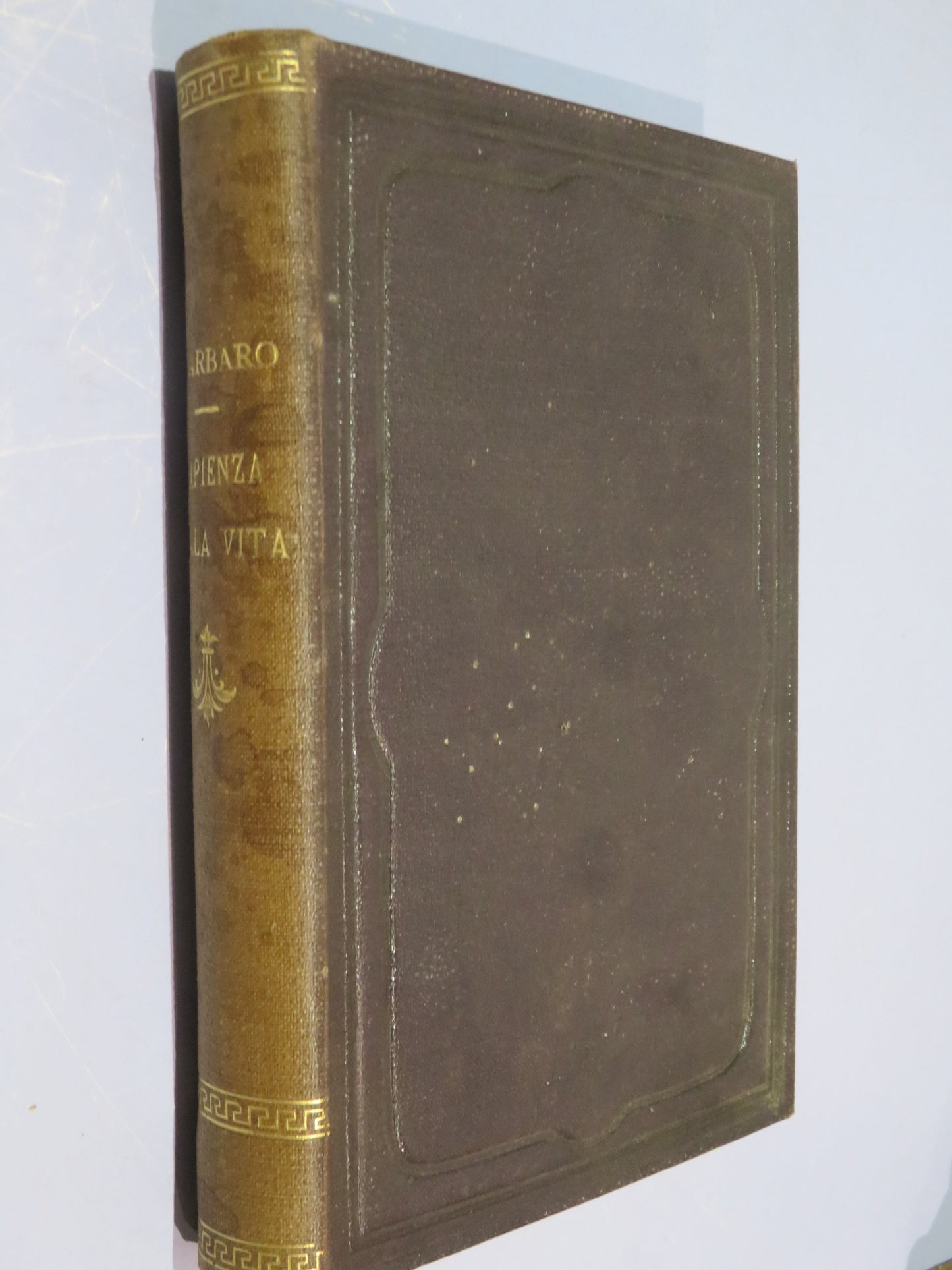 46022464