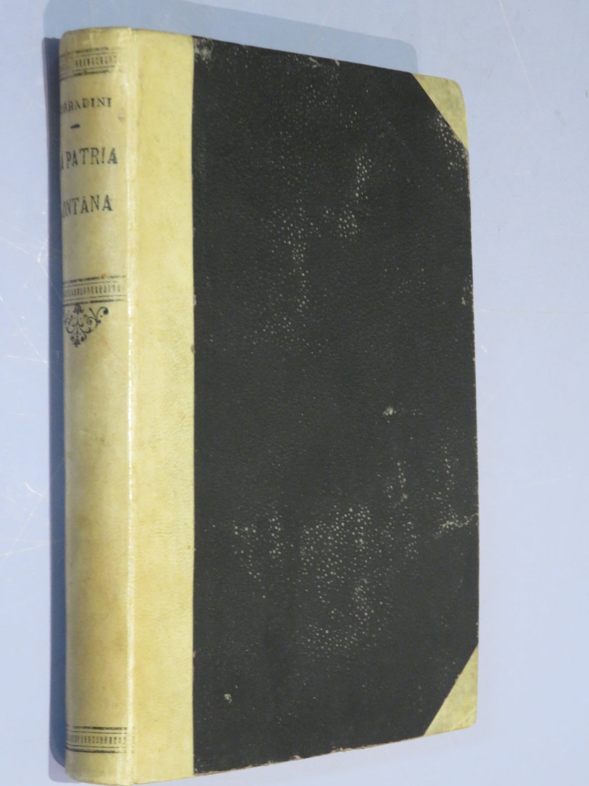 46022474
