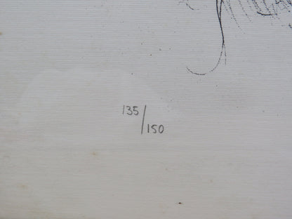 49148077