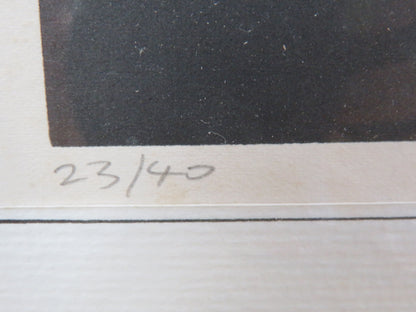 49148173