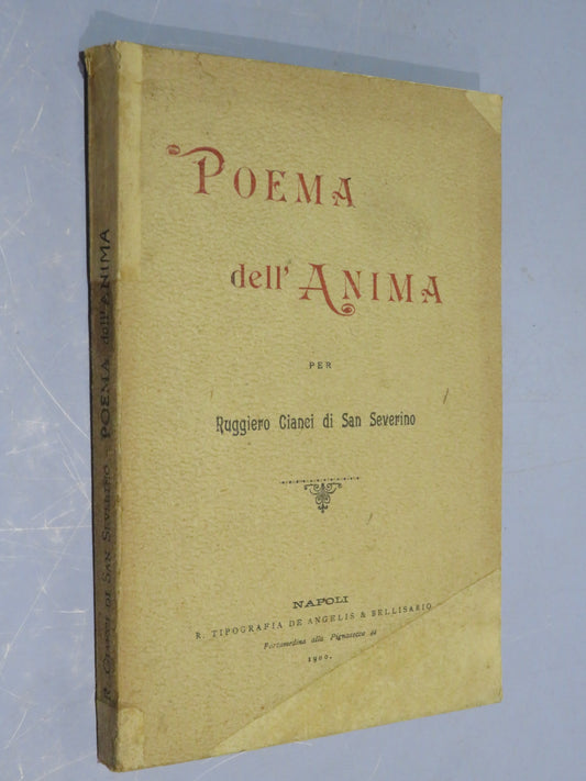 50510669