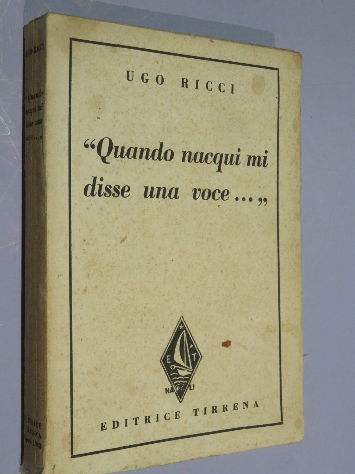 50510677