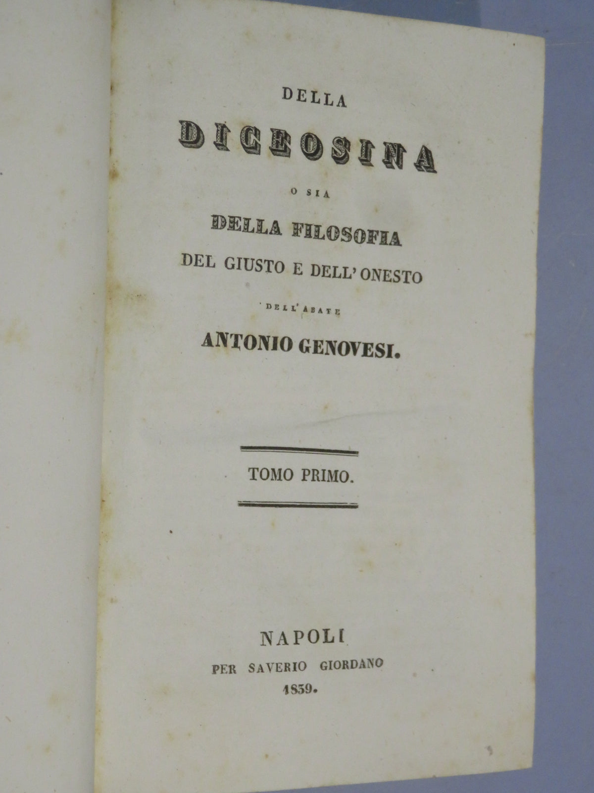 51067081