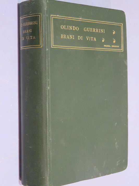 51067127