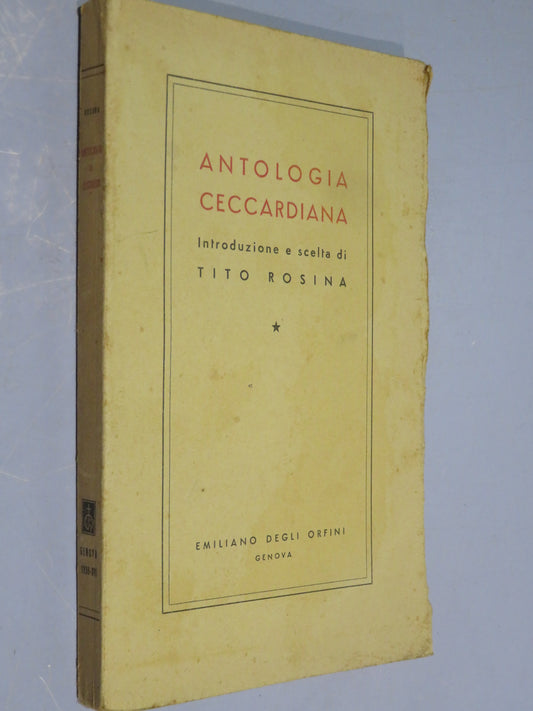 51068204