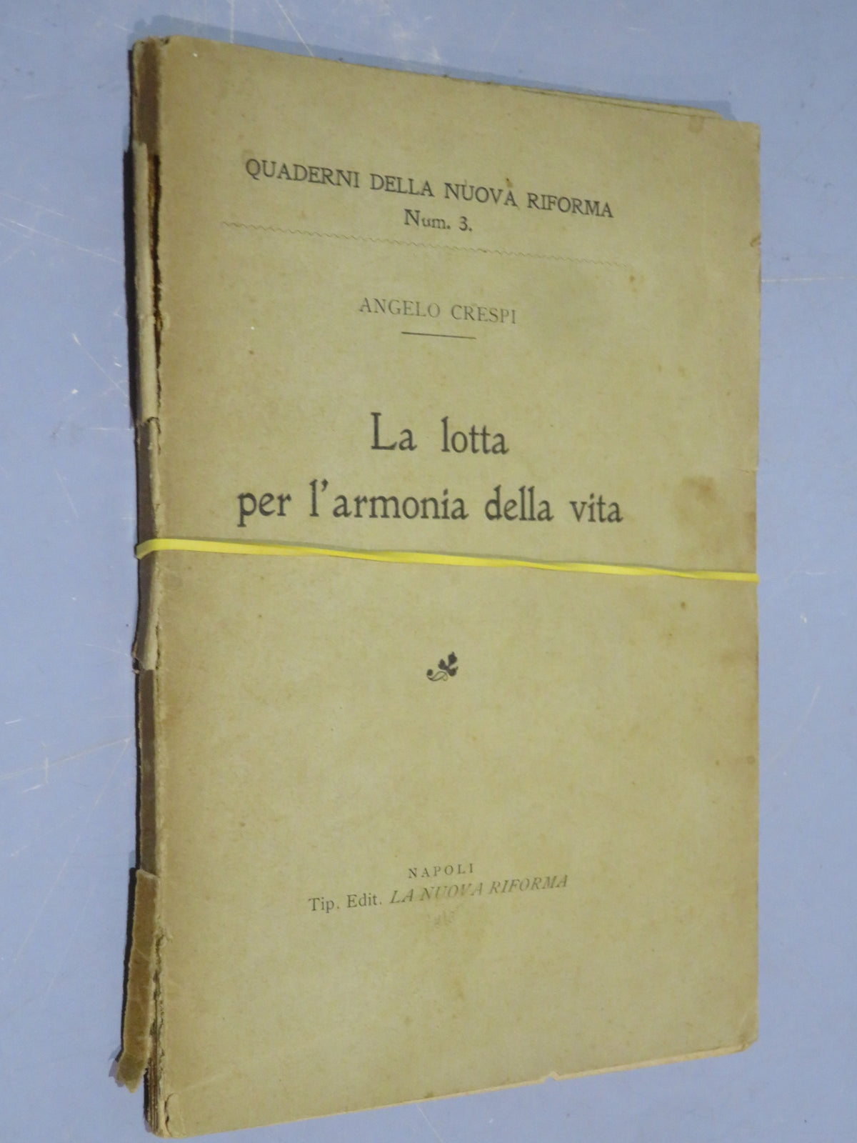 51068463
