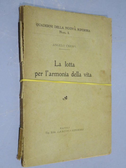 51068463