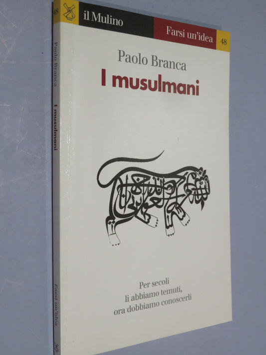 51068736