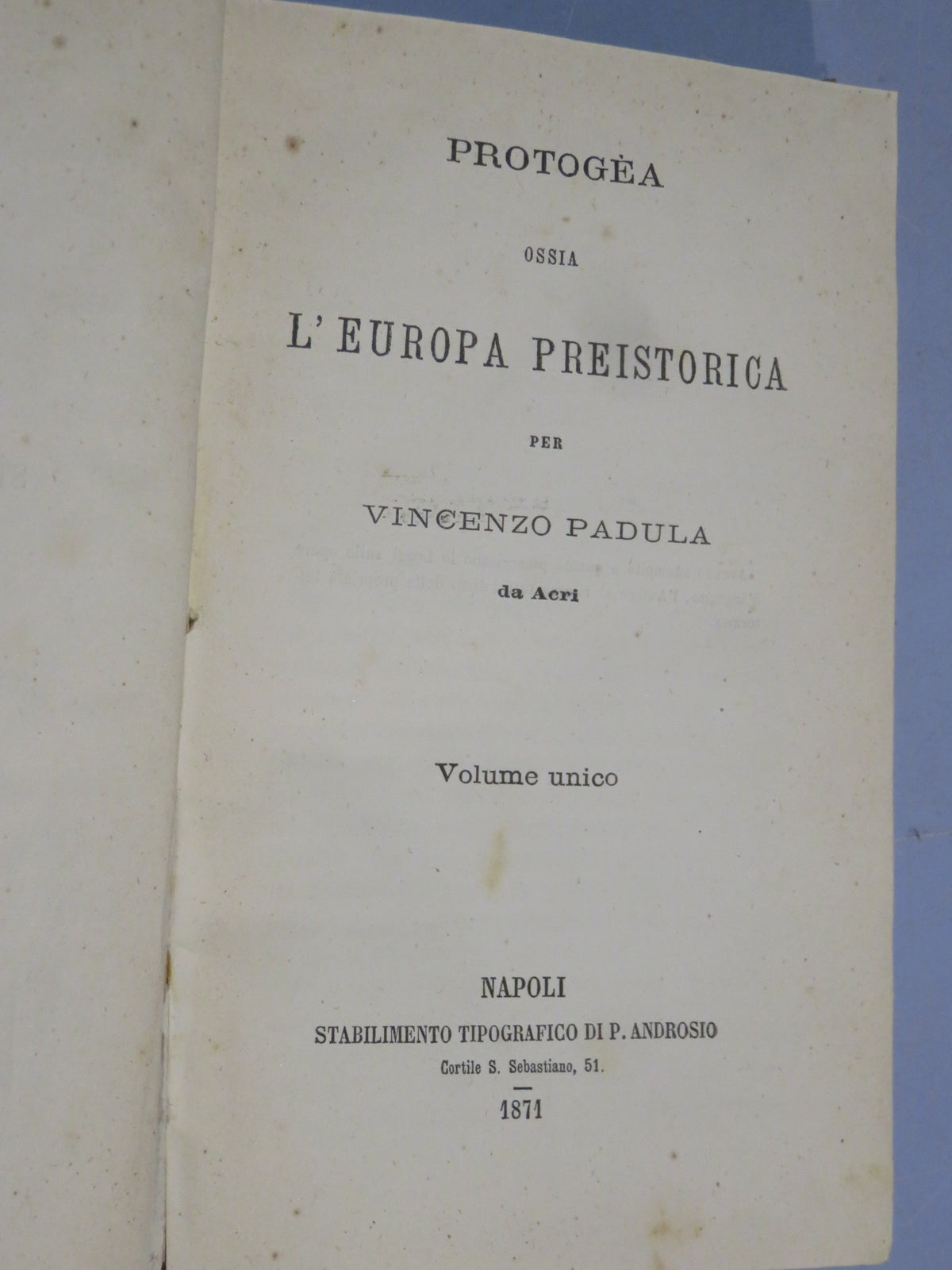 51064909