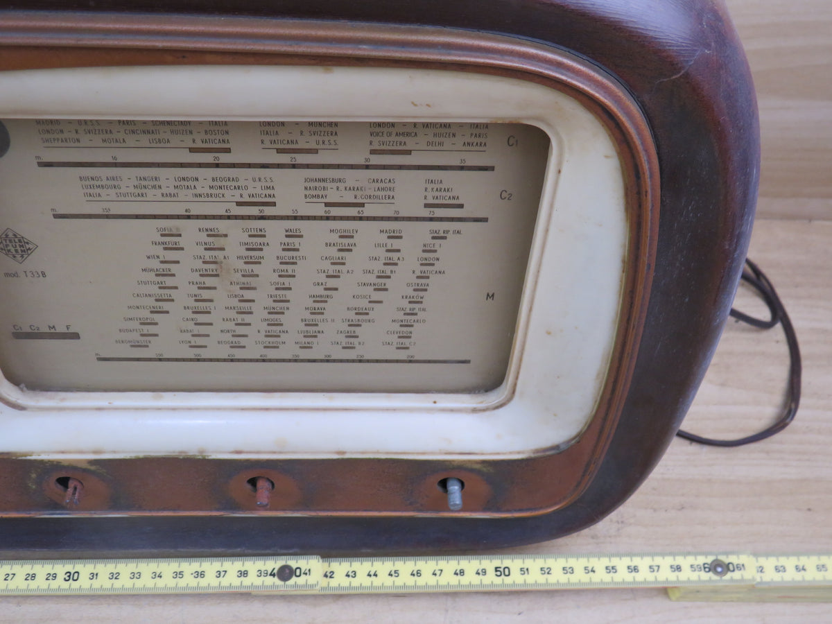 51137319