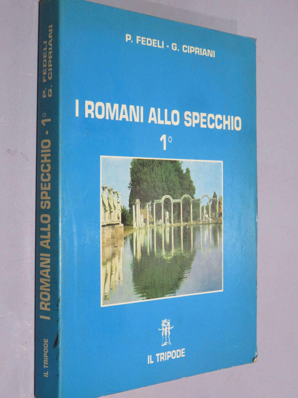 51264910