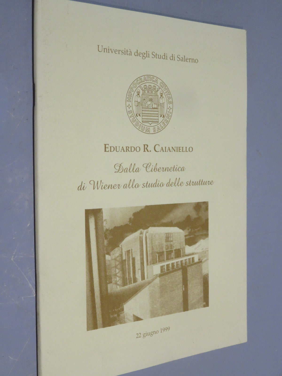 51264906