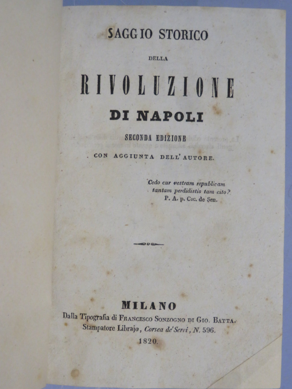 51264995