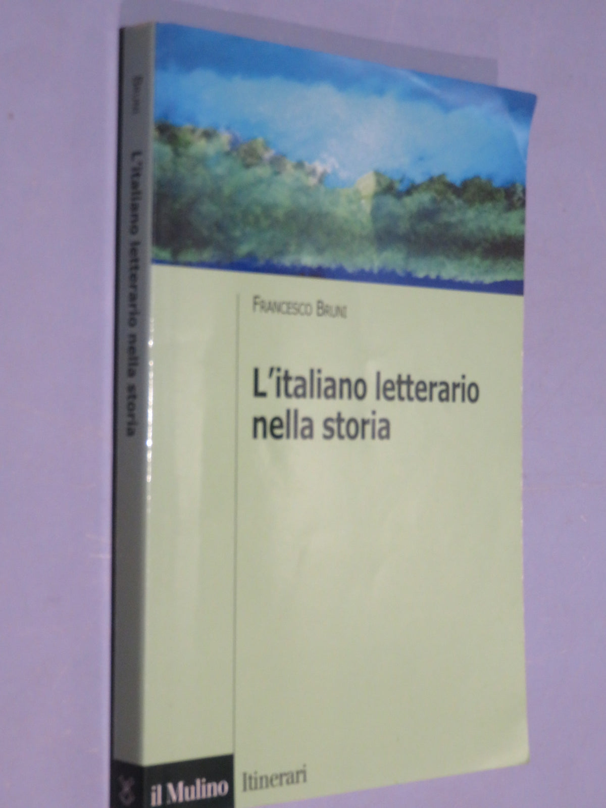 51287066