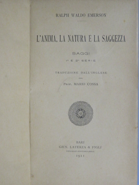51287113